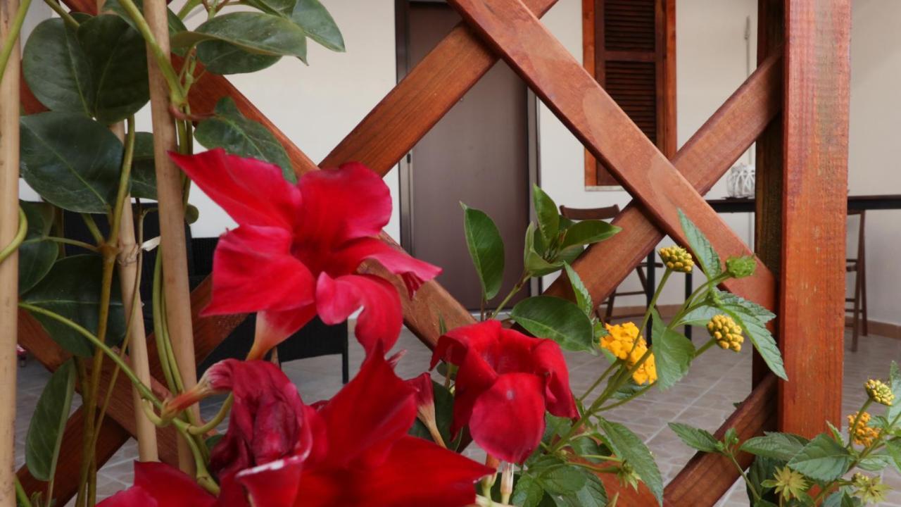 B&B Verzavo Cetraro Exterior foto